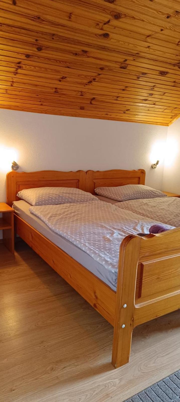 Guesthouse Mirko Hodak 塞里特雷尼科 外观 照片