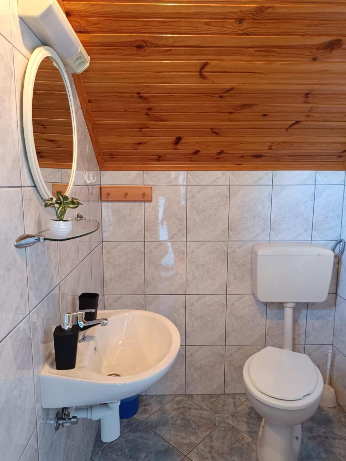 Guesthouse Mirko Hodak 塞里特雷尼科 外观 照片