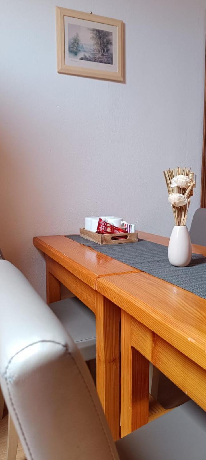 Guesthouse Mirko Hodak 塞里特雷尼科 外观 照片