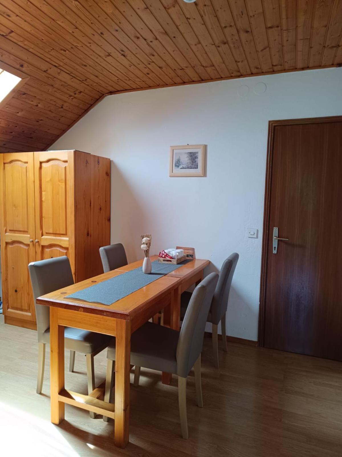 Guesthouse Mirko Hodak 塞里特雷尼科 外观 照片